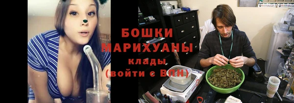 ПСИЛОЦИБИНОВЫЕ ГРИБЫ Арсеньев