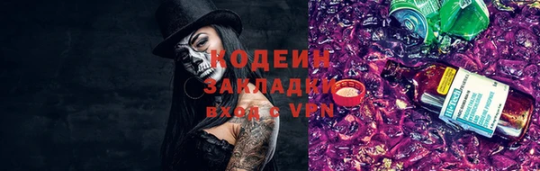 ПСИЛОЦИБИНОВЫЕ ГРИБЫ Арсеньев