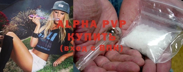 ПСИЛОЦИБИНОВЫЕ ГРИБЫ Арсеньев