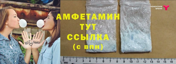 ПСИЛОЦИБИНОВЫЕ ГРИБЫ Арсеньев
